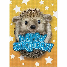 Hedgehog Photo Card