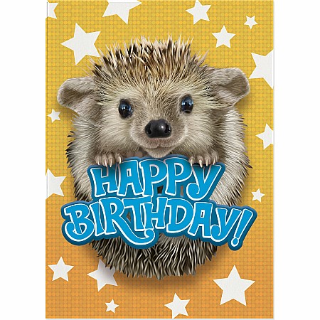 Hedgehog Photo Card