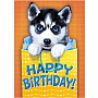 Husky Foil Birthday Card