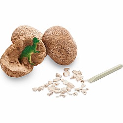 Dig It Up! Dinosaur Eggs -Mw Versions