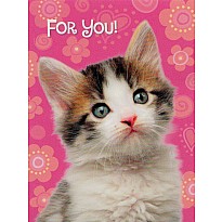 Kitty On Pink Gift Enclosure Card