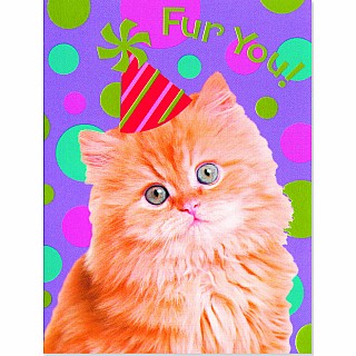 Fur You Cat Foil Card