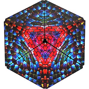 Shashibo - The Chameleon