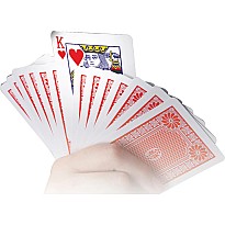 Ultimate 250 Card Tricks
