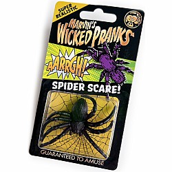 Spider Scare