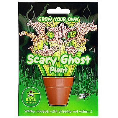 Scary Ghost Plant