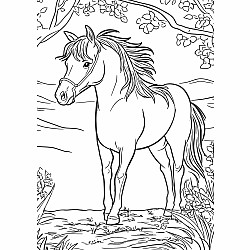 Farm Friends XXL Coloring Book