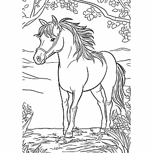 Farm Friends XXL Coloring Book