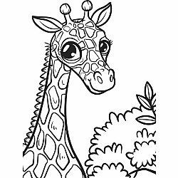 Animal Kingdom XXL Coloring Book