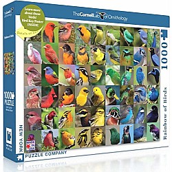 Rainbow of Birds Puzzle (1000 Pc)