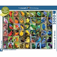 NY Puzzle Rainbow of Birds 1000pc