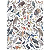 NY Puzzle Birds of North America Puzzle 1000pc