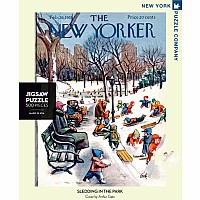 Sledding in the Park