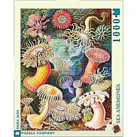 NY Puzzle Sea Anemones 1000pc