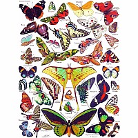 NY Puzzle Butterflies 1000pc