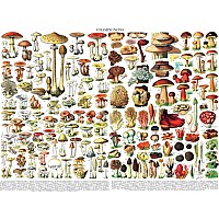 NY Puzzle Mushrooms 1000pc