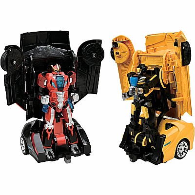 Auto Moto Battle Bots