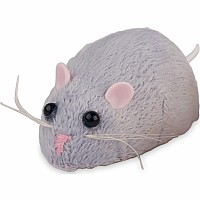 Meddling Mouse