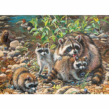 Raccoon Family (Family)