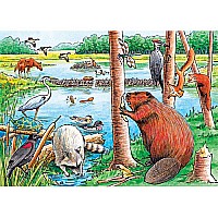 The Beaver Pond (Tray)