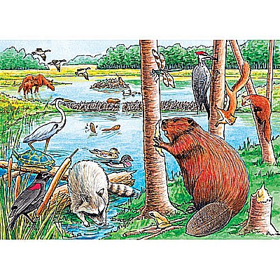 The Beaver Pond (Tray)