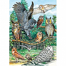 North American Owls (Tray)