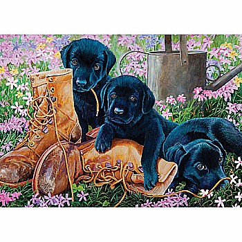 Black Lab Puppies (Tray)