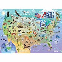 Usa Map (Tray)