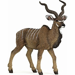 Great Kudu