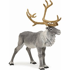 Reindeer