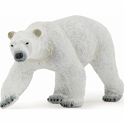 Polar Bear