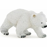 Polar Bear Cub, Walking