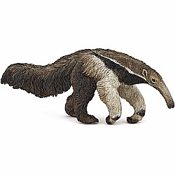 Giant Anteater