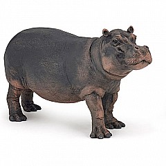 Hippopotamus Cow