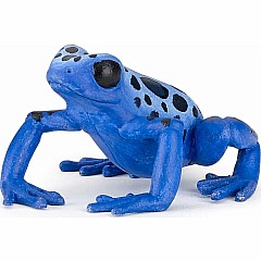 Equatorial Blue Frog