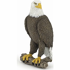 Sea Eagle