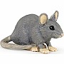 House Mouse