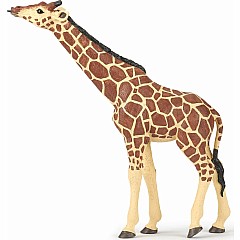 Giraffe Head Raised