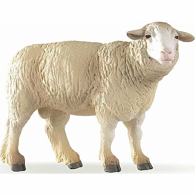 Merinos Sheep