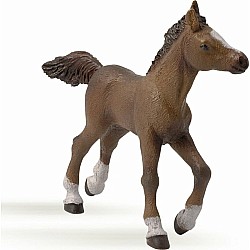 Papo Anglo-arab Foal
