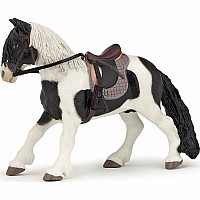Pony With Saddle