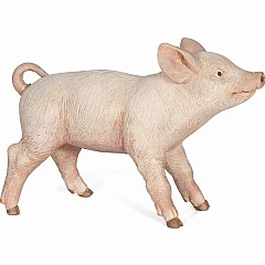 Female Piglet
