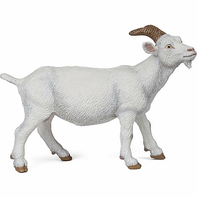 White Nanny Goat