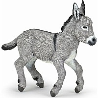 Provence Donkey Foal