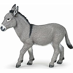 Provence Donkey