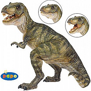 Tyrannosaurus Rex Movable Jaw