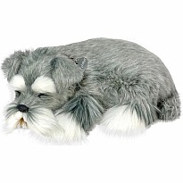 Perfect Petzzz Schnauzer