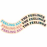 Stickers -  Feeling All The Feelings Vinyl