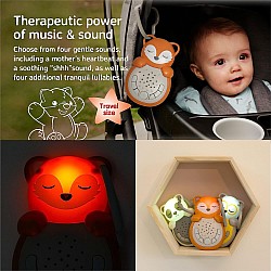 Sweet Dreamz On the Go - Fox