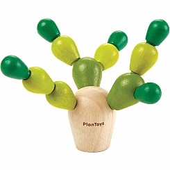 Balancing Cactus
